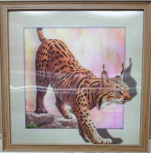 Картина 5D 40х40 264 Рысь/ ZR8210H-222411 / - Галеонтрейд фото 2