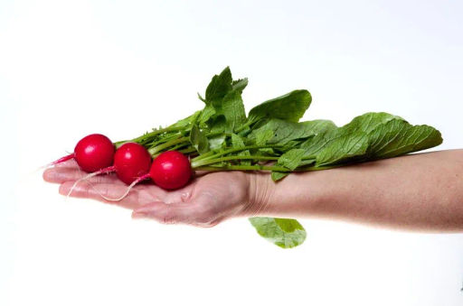 Редис Черриэт - Партнер фото 5