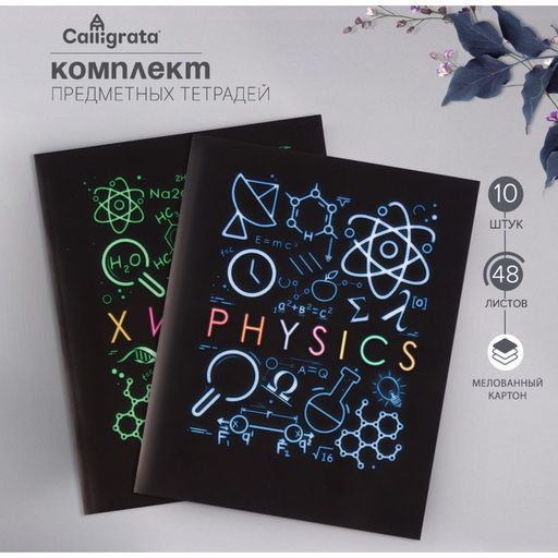 Набор предметных тетрадей 48 листов Calligrata Супернеон, 10 предметов  фото 6