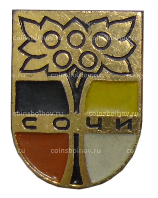 Значок Сочи
