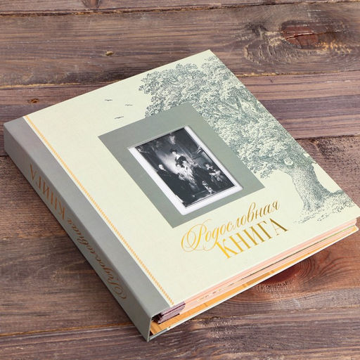Родословная книга с рамкой под фото «Семейная», 21.5×23.7 см.