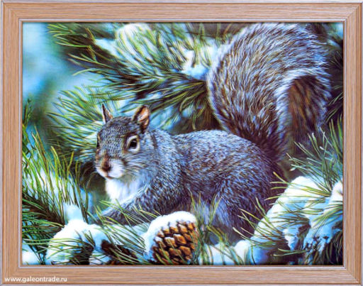 Картина 5D 30х40 197 Белка / KS1912-1 / - ГалеонТрейд фото 2