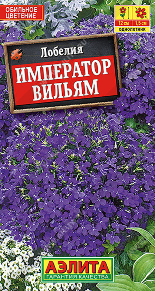 1570A Лобелия Император Вильям 0,05гр