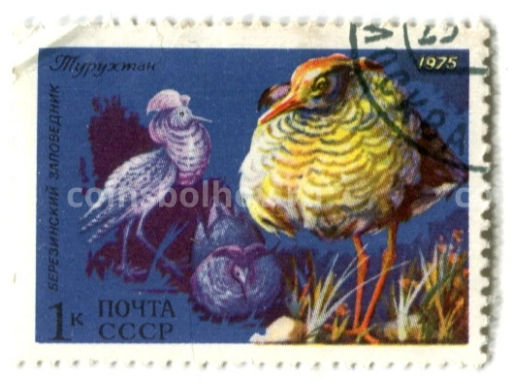 Марка Березинский заповедник  Турухтан 1975 год
