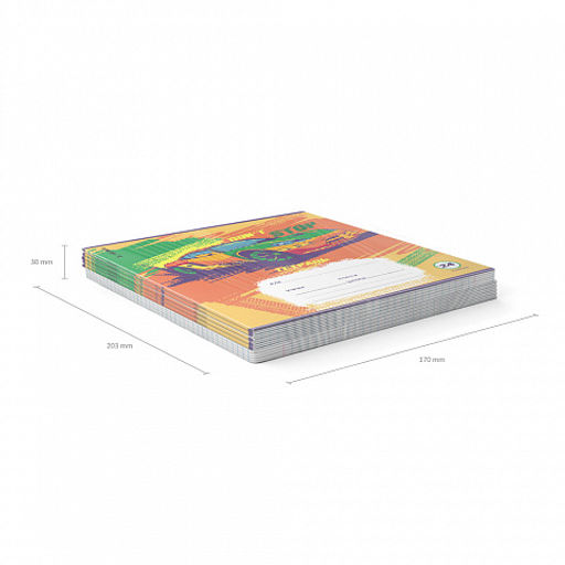 Цена за 10 шт. Тетрадь школьная ученическая ErichKrause Graphic Car, 24 листа, клетка (в плёнке по 10 шт.)_MIX-PACK  фото 11