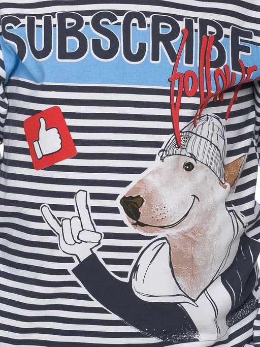 BFJS3194 джемпер для мальчиков