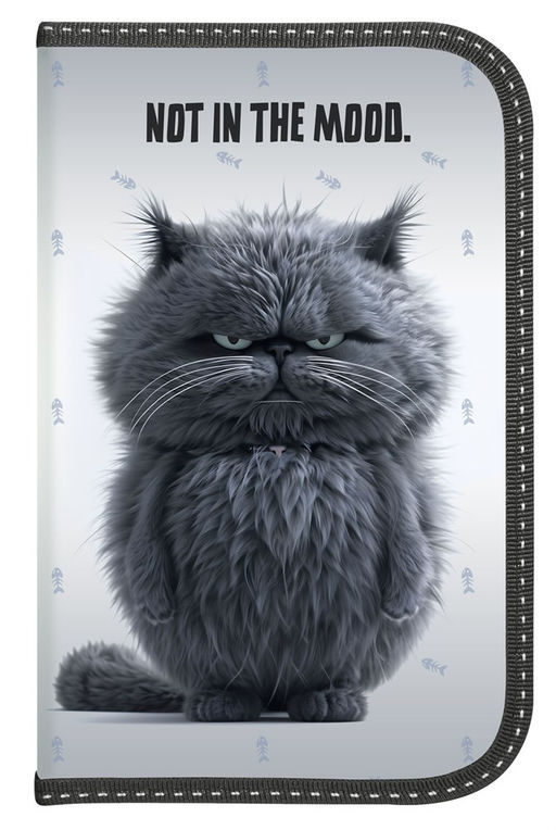 Пенал 1 отд. 190*115мм, Schoolformat "Не в духе" (ПКБ-НВД, 257370) ламинация