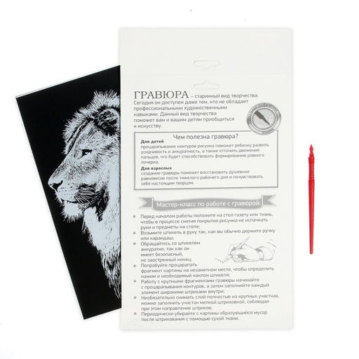 Гравюра Лев с металлическим эффектом серебро А4 - Школа талантов фото 5