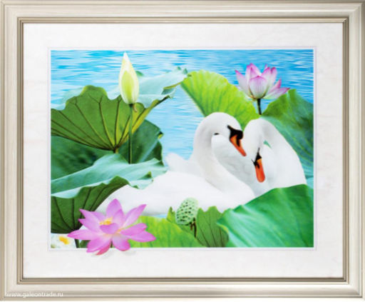 Картина 5D 40х50 256 / ZR8845B-H39H23 / ф - Галеонтрейд фото 2