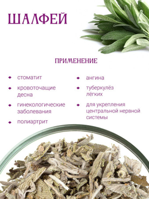 Шалфей - Травы горного крыма фото 2