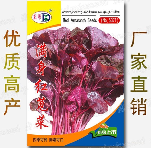 Инь Тсаи - ??? Китайский Спаржевый Амарант