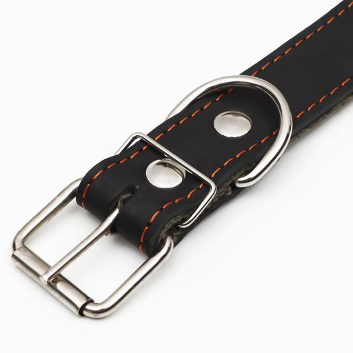 Ошейник комбинированный кожа/брезент, 69 х 3,5 см, украшенный, ОШ 45-60 см, чёрный - Пижон фото 4