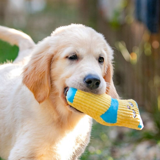 Игрушка мягкая с пищалкой Носок жёлтый, 16 см - Пижон фото 7