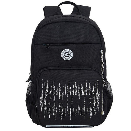 RG-464-3f Рюкзак школьный - Grizzly фото 46