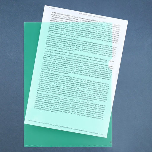 Набор папок-уголков А4, 100 мкм, Calligrata Выгодные, прозрачные, 5 штуки, микс  фото 6