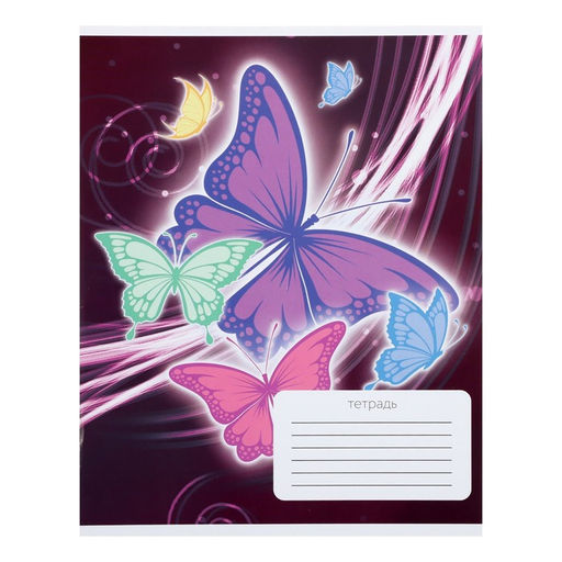 Комплект тетрадей из 10 штук Calligrata Бабочки, 12 листов в клетку, обложка мелованный картон, ВД лак, блок офсет, белизна 95%, 5 видов по 2 штуки  фото 6