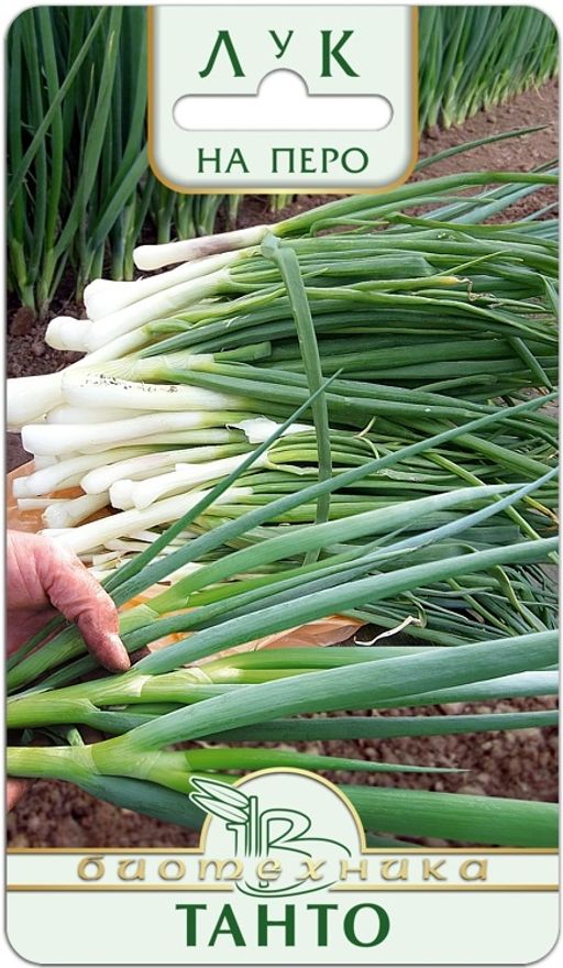 Лук на перо Танто