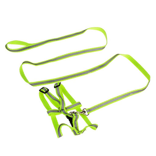 Комплект со светоотражающей лентой, ошейник 120 х 1 см, ОГ 26-40 см, зеленый - Пижон фото 2