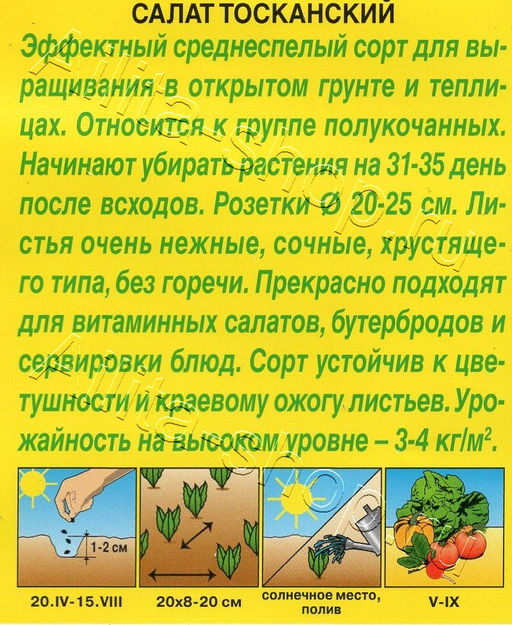 Салат полукочанный Тосканский 0,5г (Аэлита)