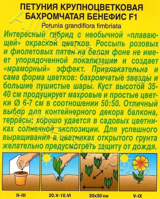 Петуния Бенефис F1 бахромчатая бело-розовая 7шт. (Аэлита)