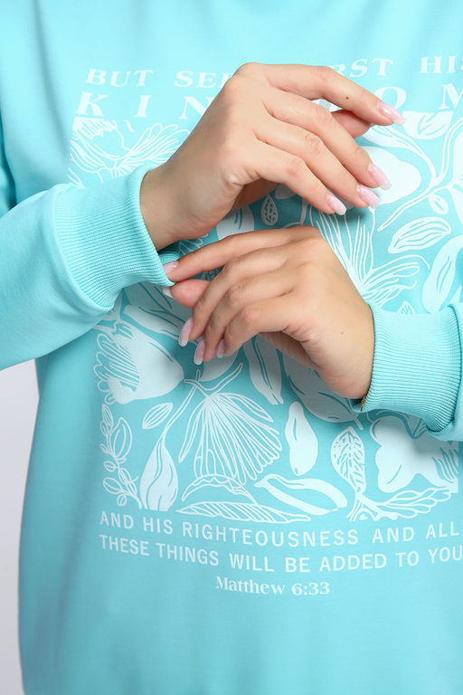 Толстовка 80047