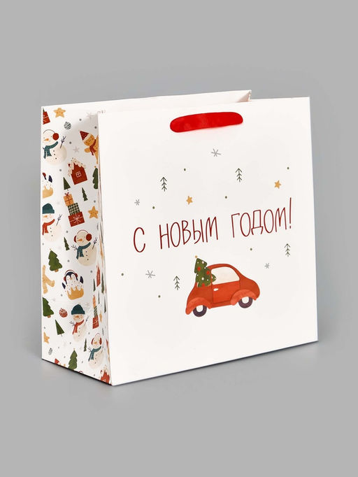 Цена за 2 шт. Пакет подарочный ламинированный новогодний Волшебного года, 22 ? 22 ? 11 см