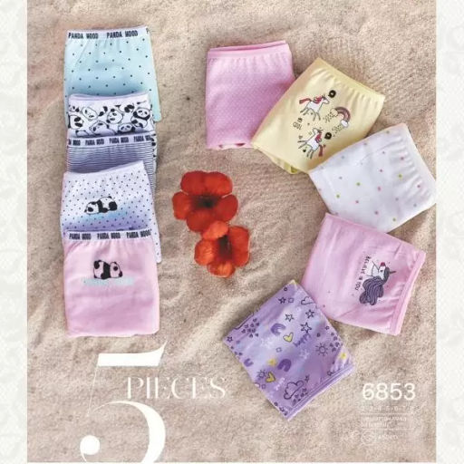 Набор трусов Berrak 5 шт. 6853 фото 6