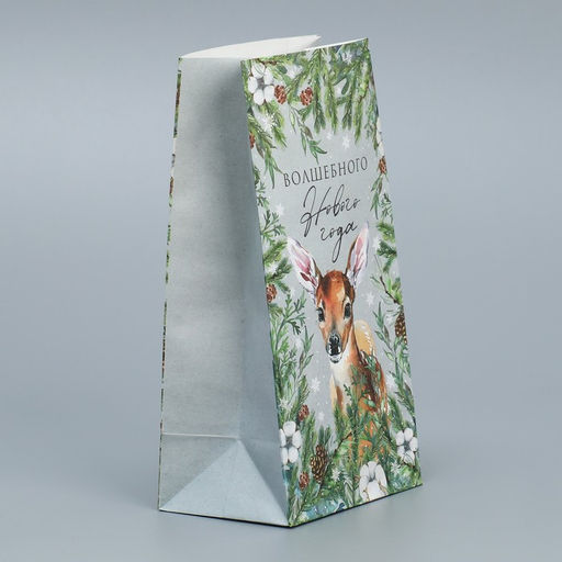 Цена за 10 шт. Пакет подарочный без ручек Волшебного Нового года, 10?19.5?7 см