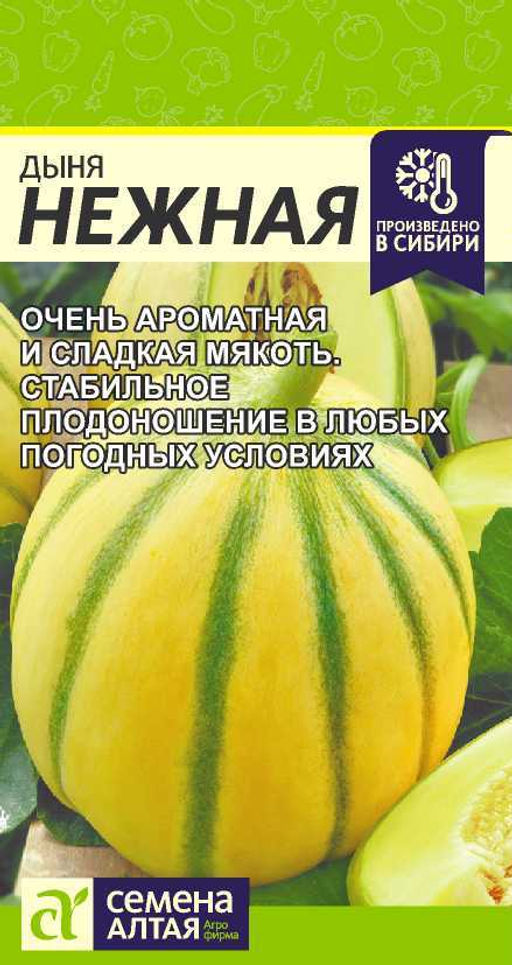 Дыня Нежная/Сем Алт/цп 0,5 гр. (2029 / 4758)