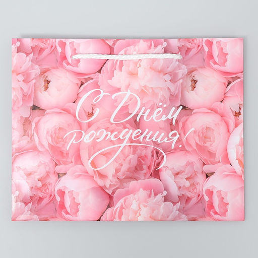 Цена за 2 шт. Пакет подарочный ламинированный, упаковка, «С Днём рождения!», MS 23 х 18 х 8 см