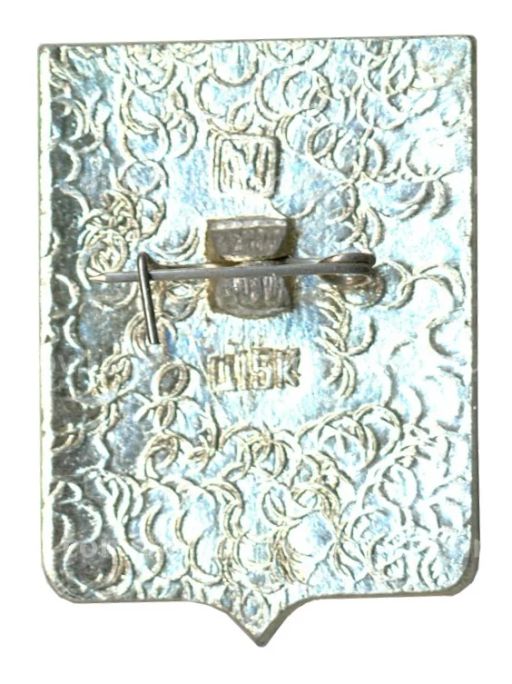 Значок Боровичи