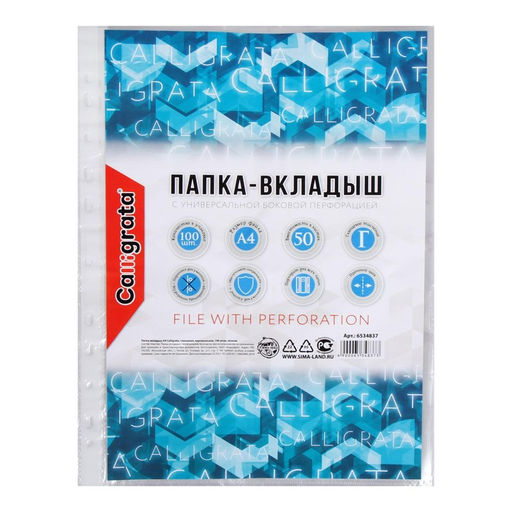 Файл-вкладыш А4, Calligrata, глянцевый, вертикальный, 100 штук, эконом  фото 3