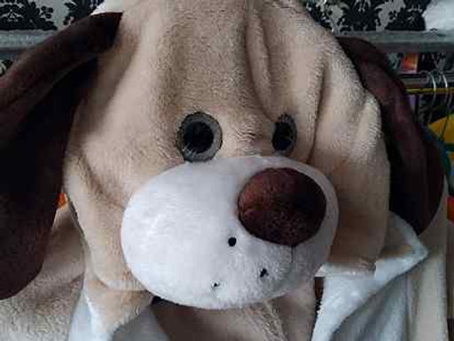 Кигуруми для детей Собака 3D - Storyland фото 2