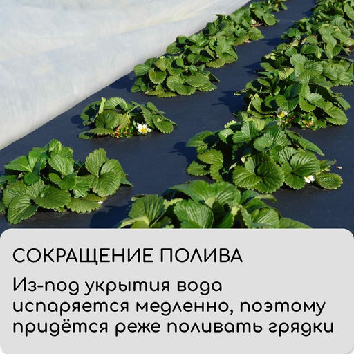 Материал мульчирующий, 10×3.2 м, плотность 60 г/м², спанбонд с УФ-стабилизатором, чёрный, Greengo, Эконом 30%
