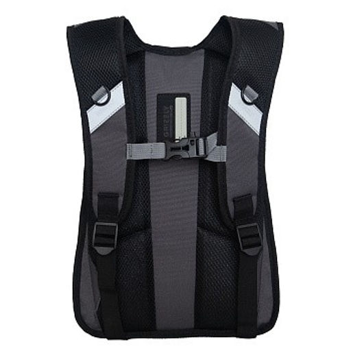 RB-450-3 Рюкзак школьный - Grizzly фото 29