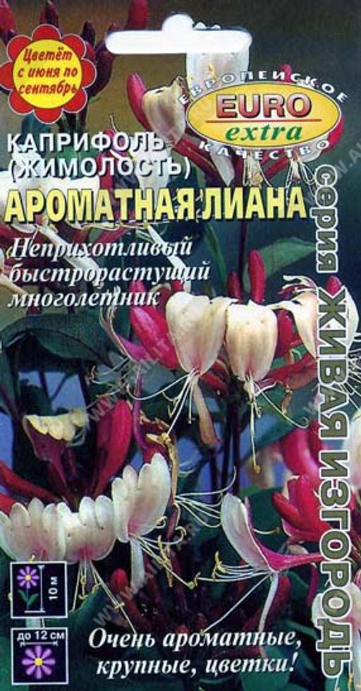 Каприфоль(жимолость) Ароматная лиана (2025)