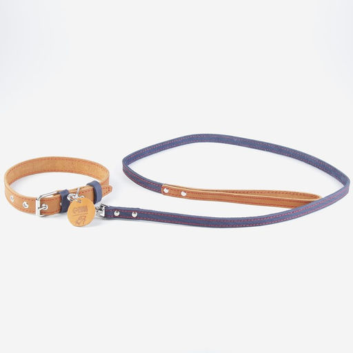 Комплект : ошейник (36-56х2.5 см) и поводок (130х1.5 см), цвет бежевый и синий - Пушистое счастье фото 3