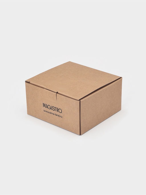 Чайная пара Magistro "Бланш" кружка 200 мл