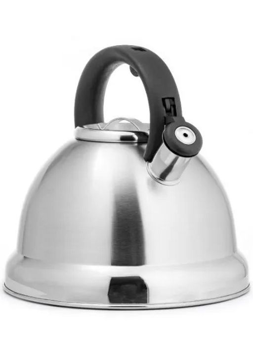 Чайник LARA 4,5 л, матовая полировка, автоподъем крышки, капсулир.индукционное дно (LR00-59)  фото 2