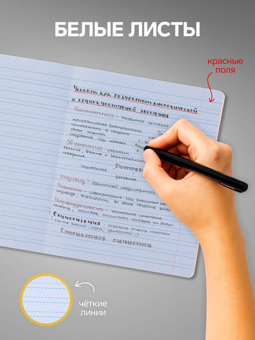Тетради 10 штук, 12 листов в частую косую линию Calligrata «Аниме», обложка мелованный картон, ВД-лак, блок офсет, 5 видов по 2 штуки