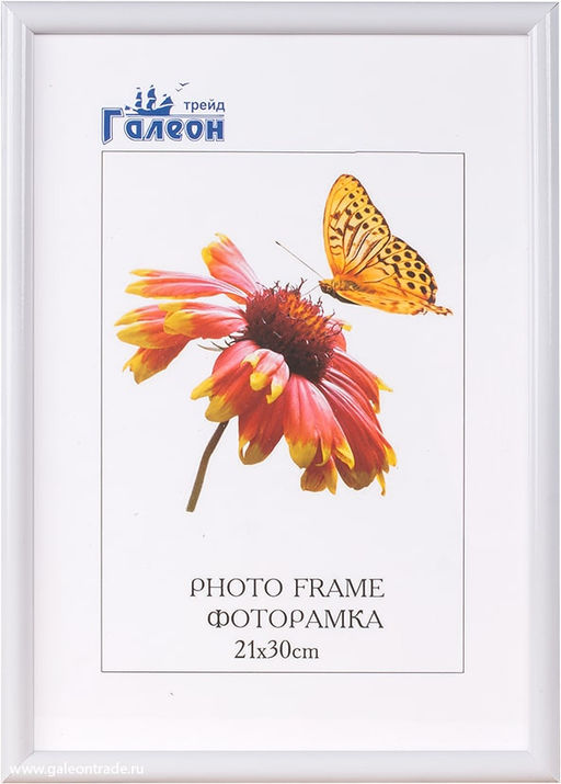 Фоторамка 21х30 / 1302A-012AL /уп10 - ГалеонТрейд фото 3