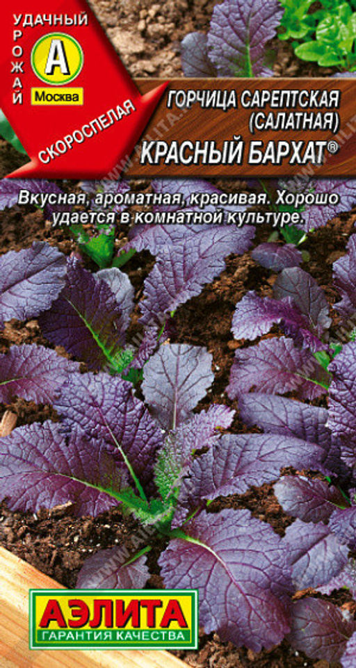 0382A Горчица салатная Красный бархат 0,5гр