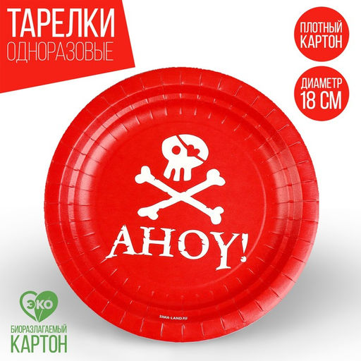 Цена за 10 шт. Тарелка бумажная Пираты, 18 см