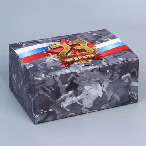 Цена за 2 шт. Коробка подарочная сборная, упаковка, 23 февраля, 22?15?10 см