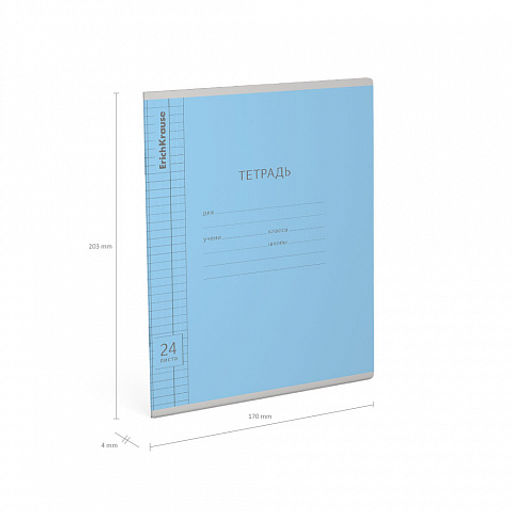 Цена за 160 шт. Тетрадь школьная ученическая ErichKrause Классика Visio ассорти, 24 листа, линейка (в плёнке по 10 шт.) фото 10