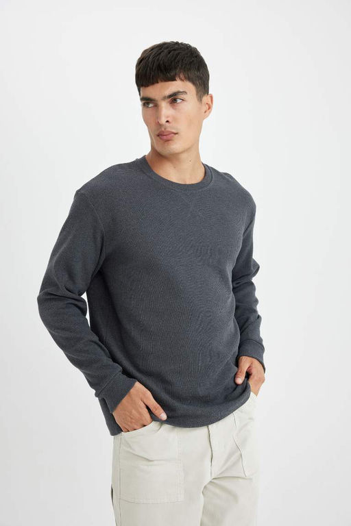 Футболка стандартного кроя с круглым вырезом и длинными рукавами вафельного цвета - Defacto фото 3