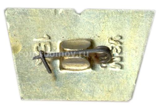 Значок И.Н.Ульянов русский педагог