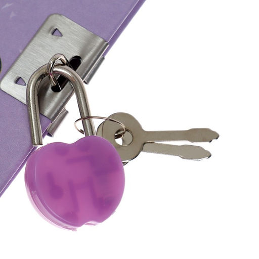 Записная книжка подарочная на замочке, А6+,50 листов, линия, Цветы, МИКС - Calligrata фото 5