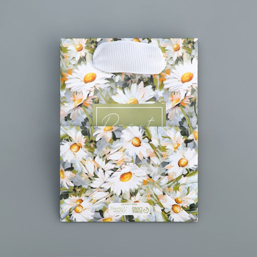 Цена за 4 шт. Пакет подарочный ламинированный, упаковка, Present, 9×12×6.5 см