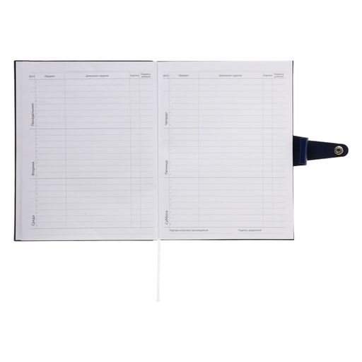 Дневник школьный для 1-11 классов Favorite, мягкая обложка, на кнопке, искусственная кожа, тиснение фольгой, хлястик, ляссе, 48 листов